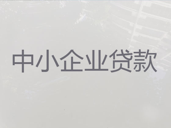 海口企业税票贷款